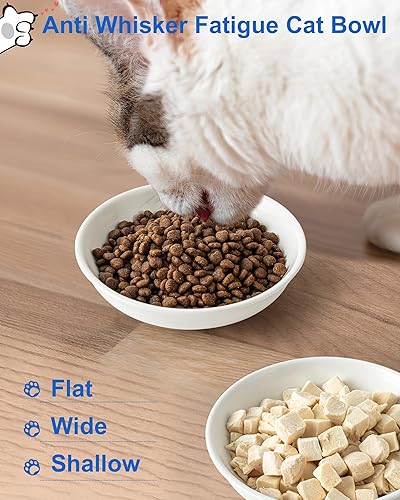 Miniatura 6 de Paquete de 3 cuencos de comida para gatos, cuencos de cerámica para gatos, antifatiga y antibigotes, juego de platos para gatos de interior, platos