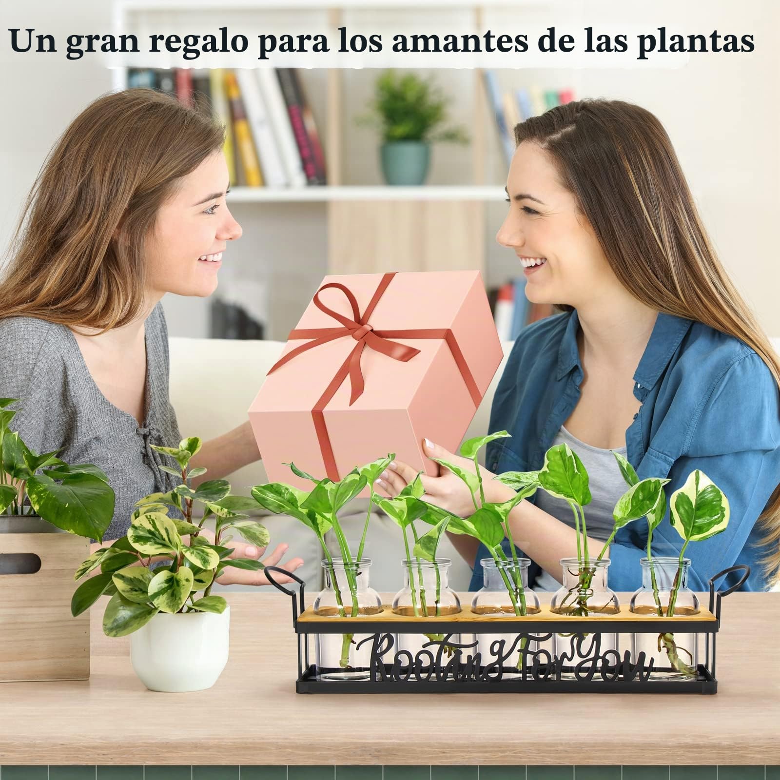 THYGIFTREE Estaciones De PropagacióN De Plantas con Soporte De Metal, Terrario De Plantas De Mesa para PropagacióN HidropóNica, Macetero De Cristal Retro, Florero, DecoracióN del Hogar, Cocina