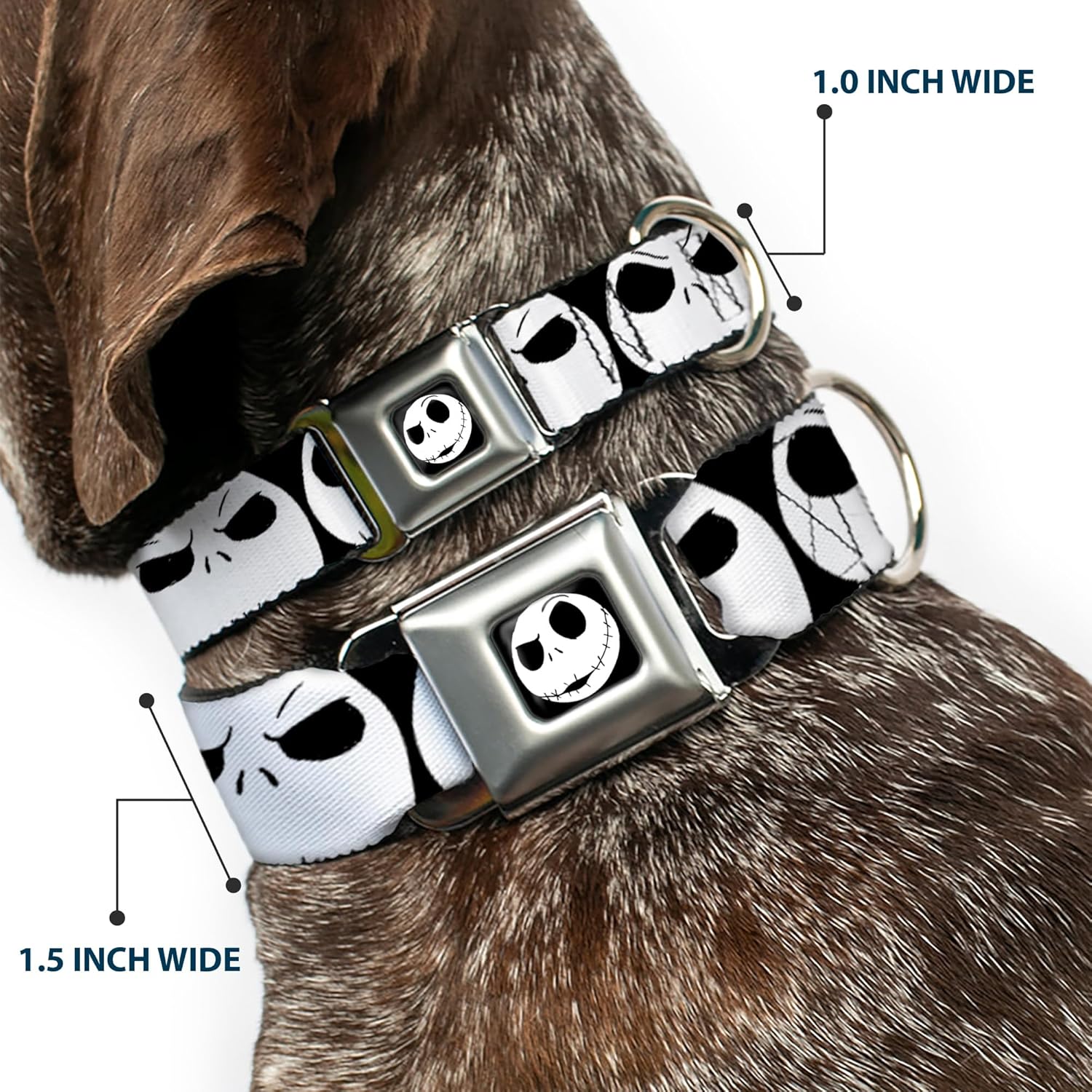 Dog Collar Seatbelt Buckle Nightmare Before Christmas 7 Jack Expressions Black White 18 to 32 Inches 1.5 Inch Wide