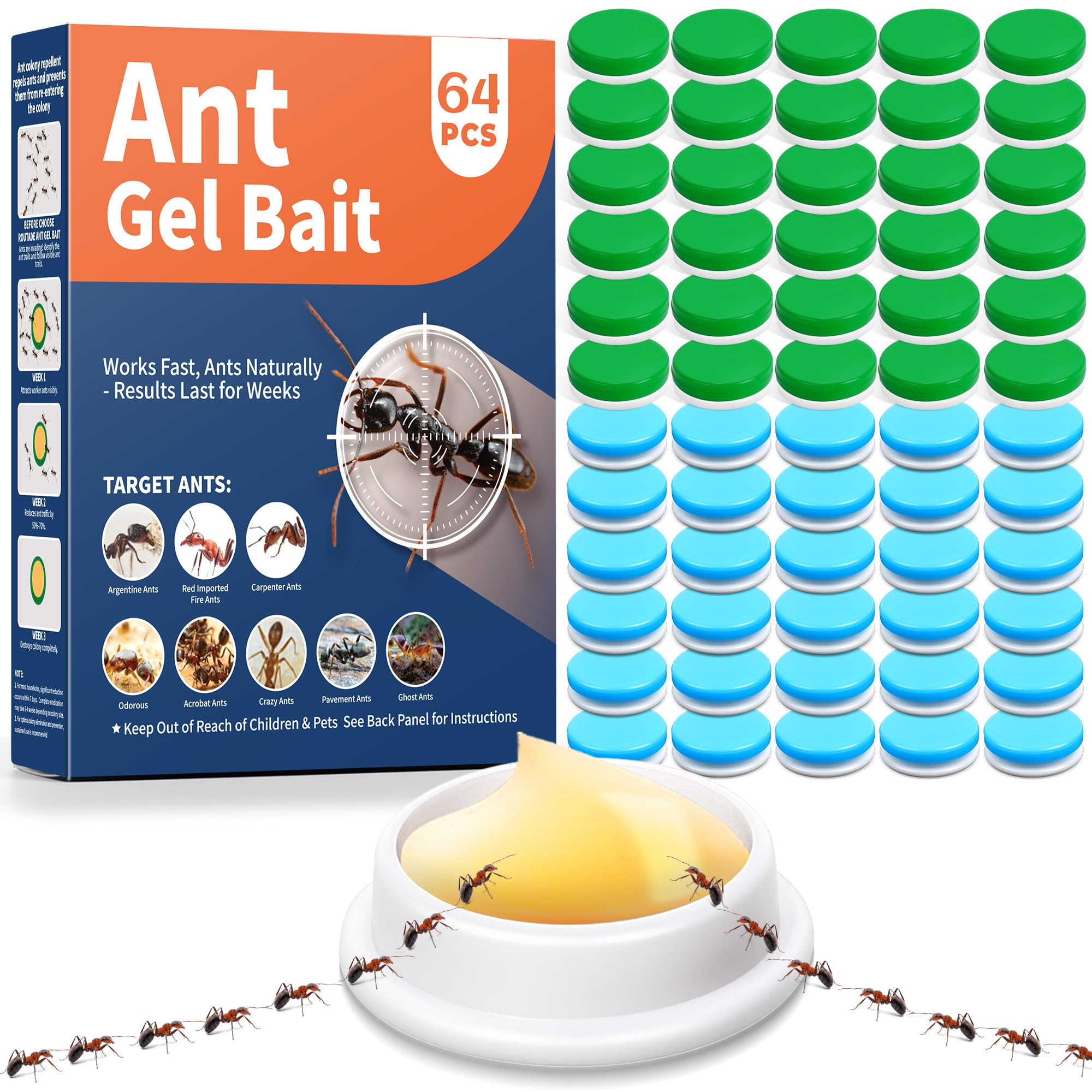 Pièges à fourmis Lot de 64 pour Intérieur Extérieur Jardin Terrasse Animaux Enfants