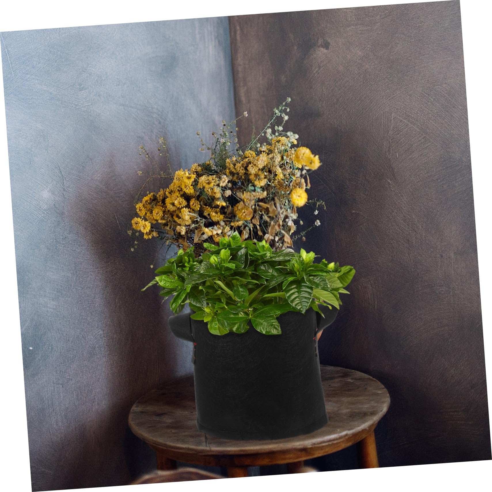 UPKOCH 12pièces Sacs de Culture Tissu Non Tissé de Sacs à Pommes de Terre pour Légumes Fleurs et Fruits Légers et Pliables pour Intérieur et Extérieur Style Aléatoire