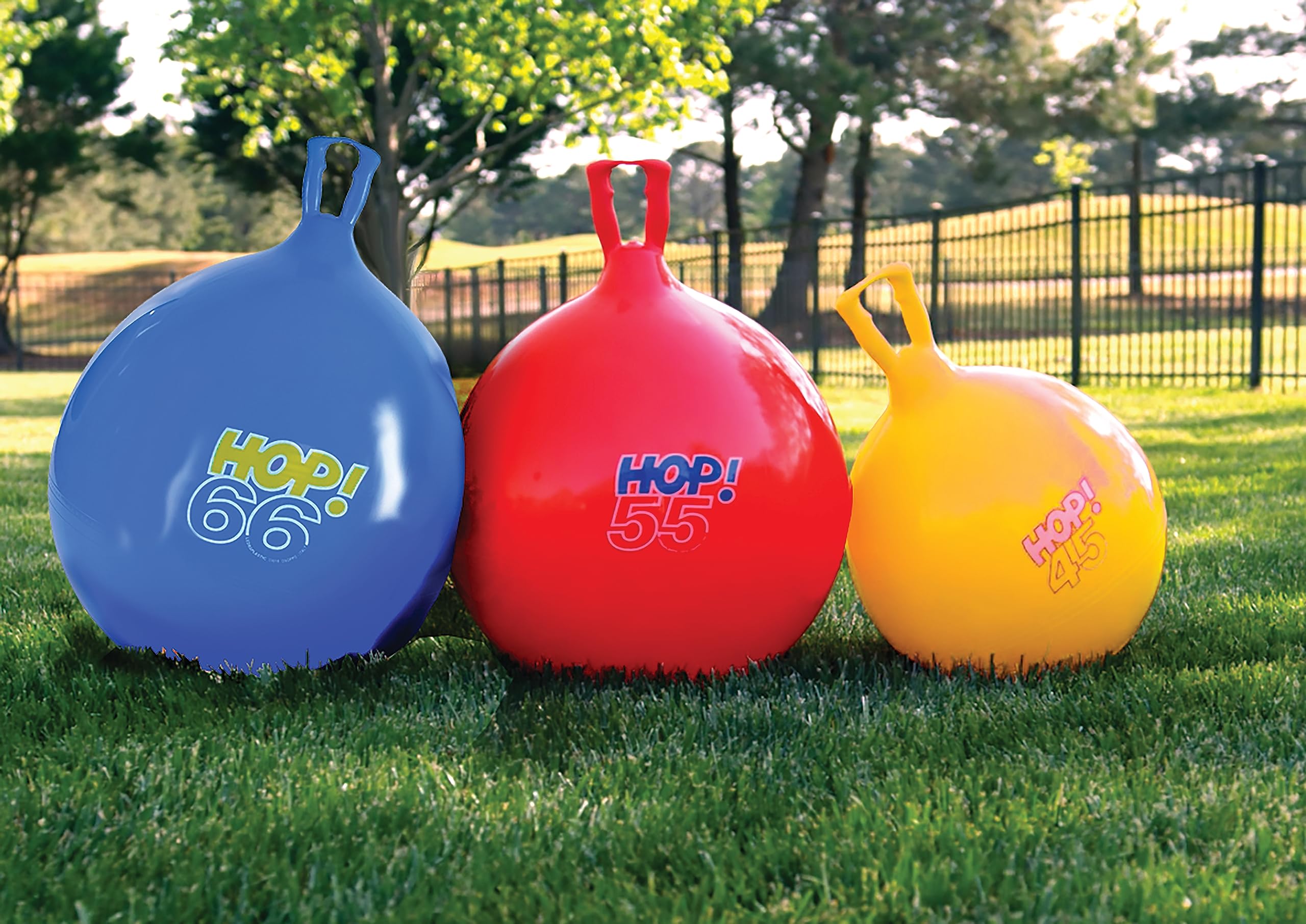 GYMNIC Hop 66 - Image 2