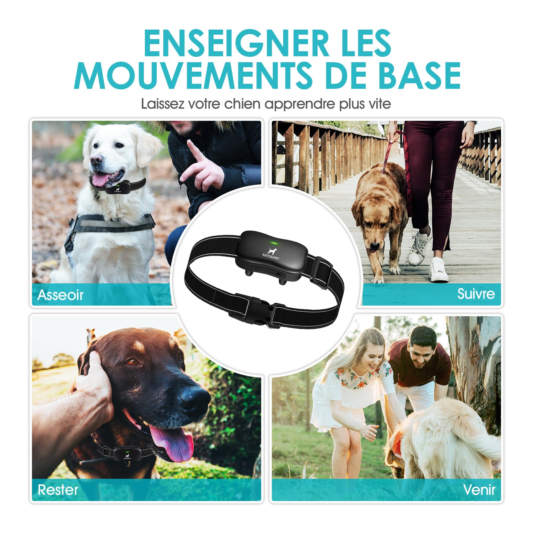 Récepteur de Collier de Dressage pour Chien, Collier Simple sans télécommande (Télécommande nécessaire), Il s'applique à la télécommande avec 14 Niveaux de fonctionnalité de clôture