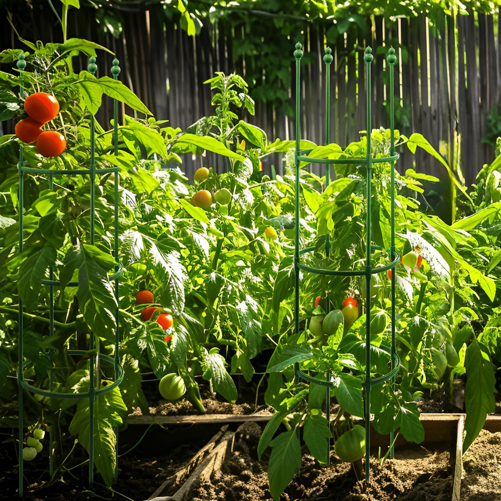 Snapklik.com : 5ft 5-Pack Tomato Cages, Tomatoes Cage For Garden Upto ...