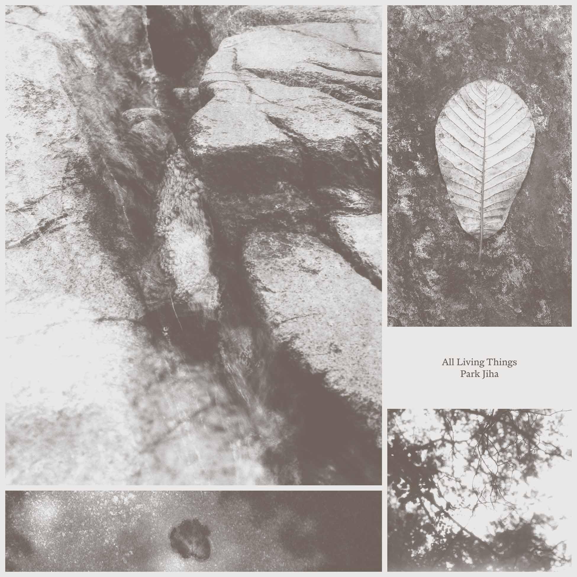 JIHA, Park - All Living Things - Vinyl (LP + insert)