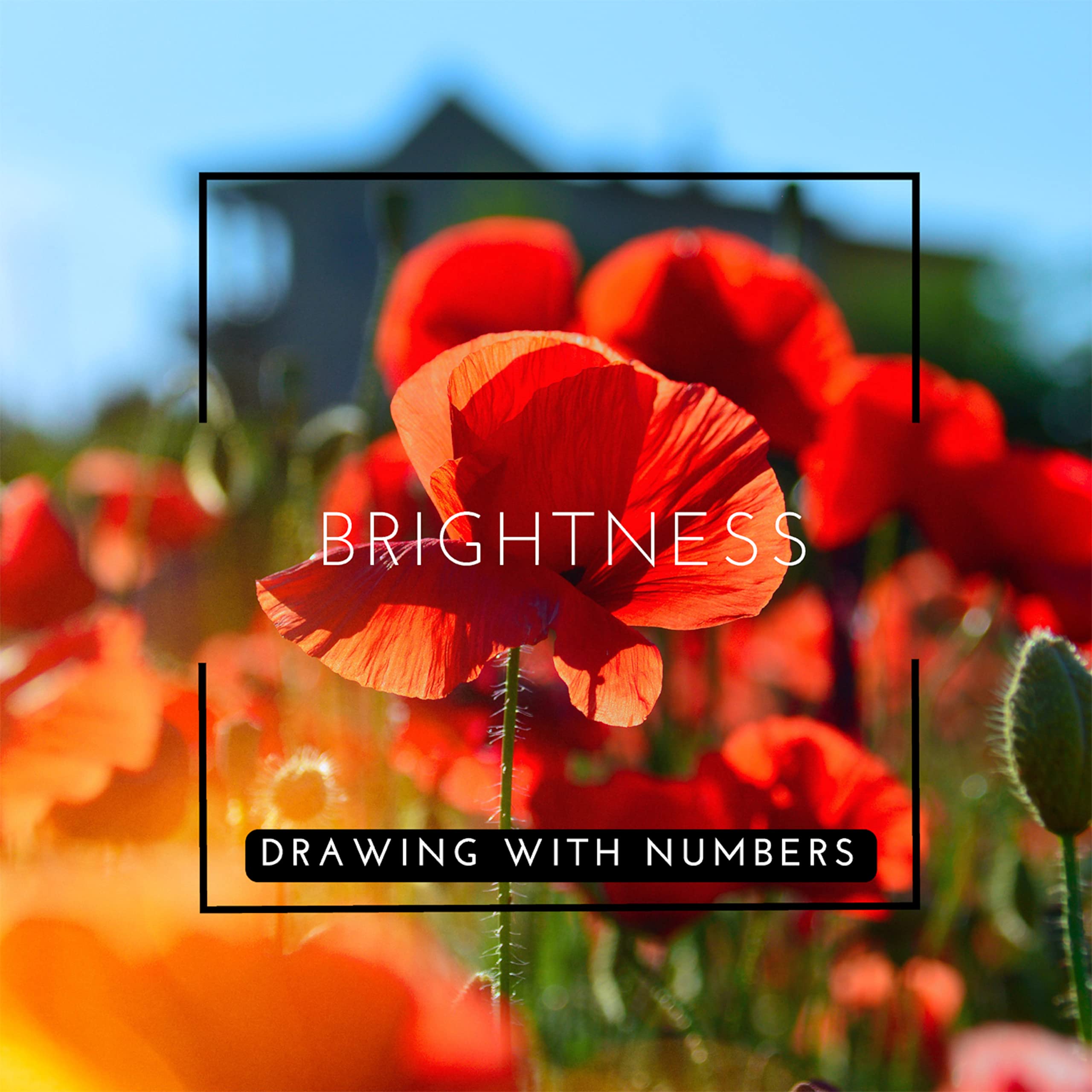 Drawing With Numbers