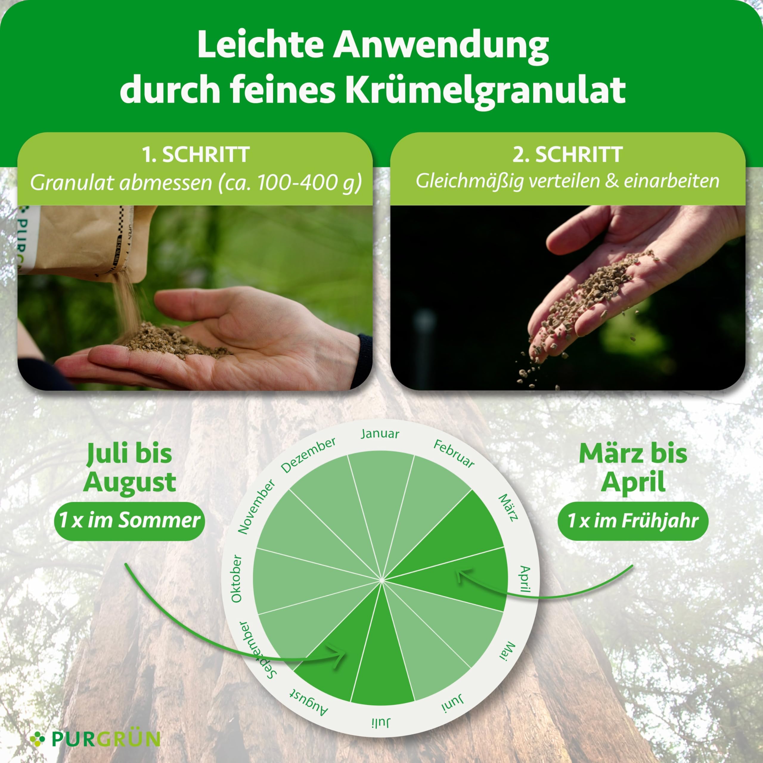 Mammutbaum-Dünger 1 kg – Extra Magnesium für schützt vor Nadelverfärbungen – Verbessert die Bodenqualität mit Tonmineralien – Feinkörniges Krümelgranulat für 3-4 Mammutbäume – chloridarm