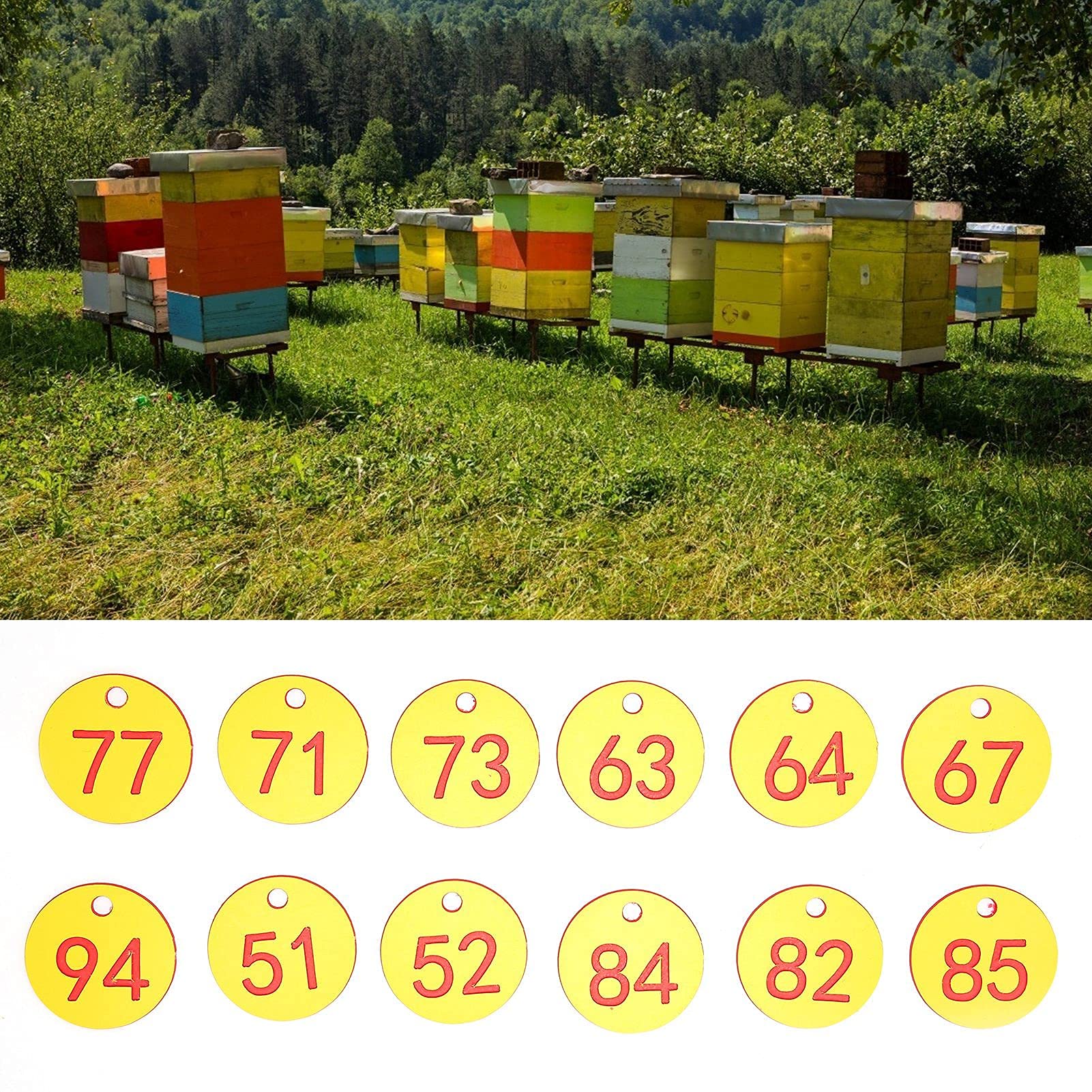 Marcatore Alveare Numero Perforato 50 Pezzi Rosso Giallo per Apicoltura Allevamento