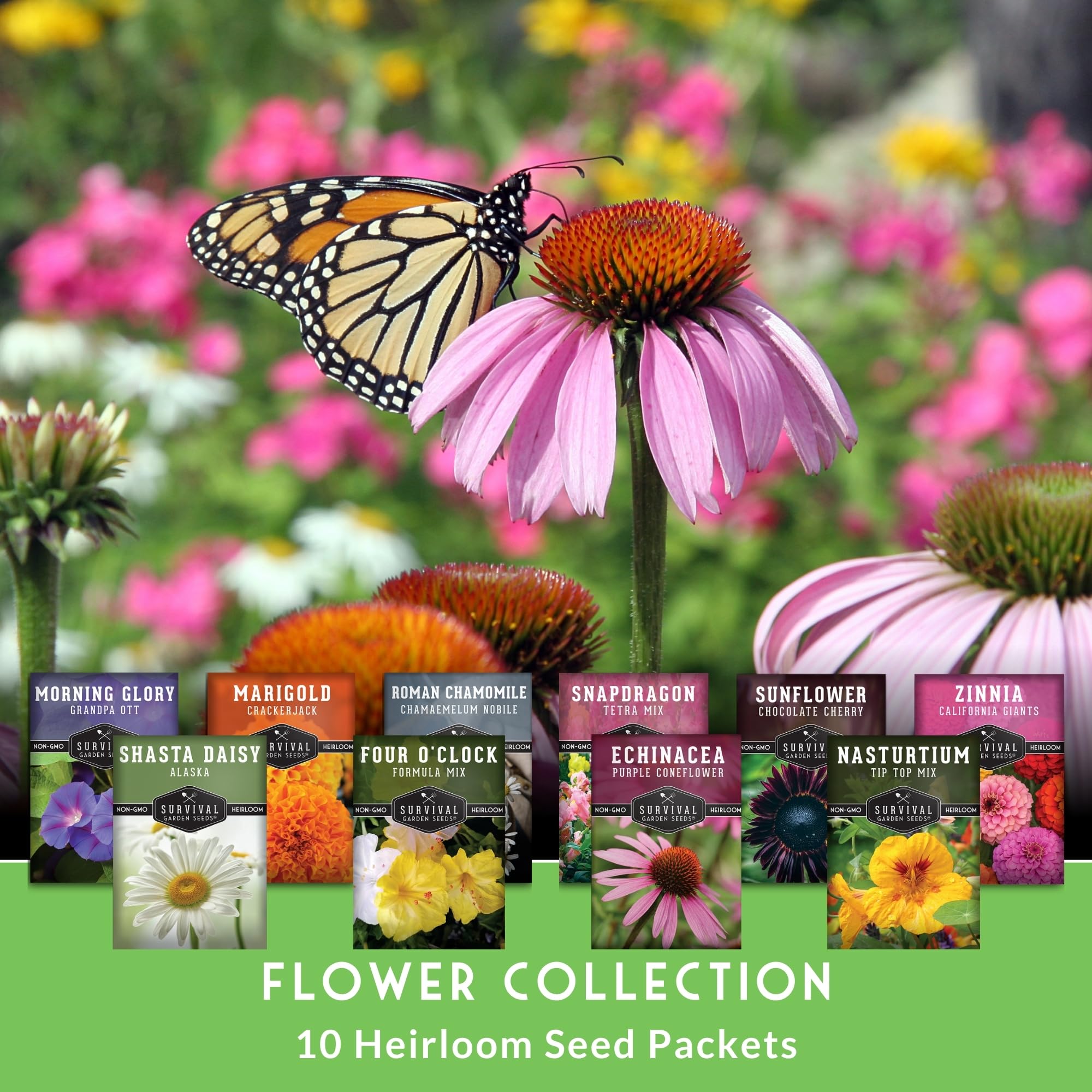 Colección de 10 flores, manzanilla, margarita Shasta, equinácea morada, caléndula, gloria de la mañana, capuchina, dragón, girasol, zinnia, variedades de reliquia sin OMG 3
