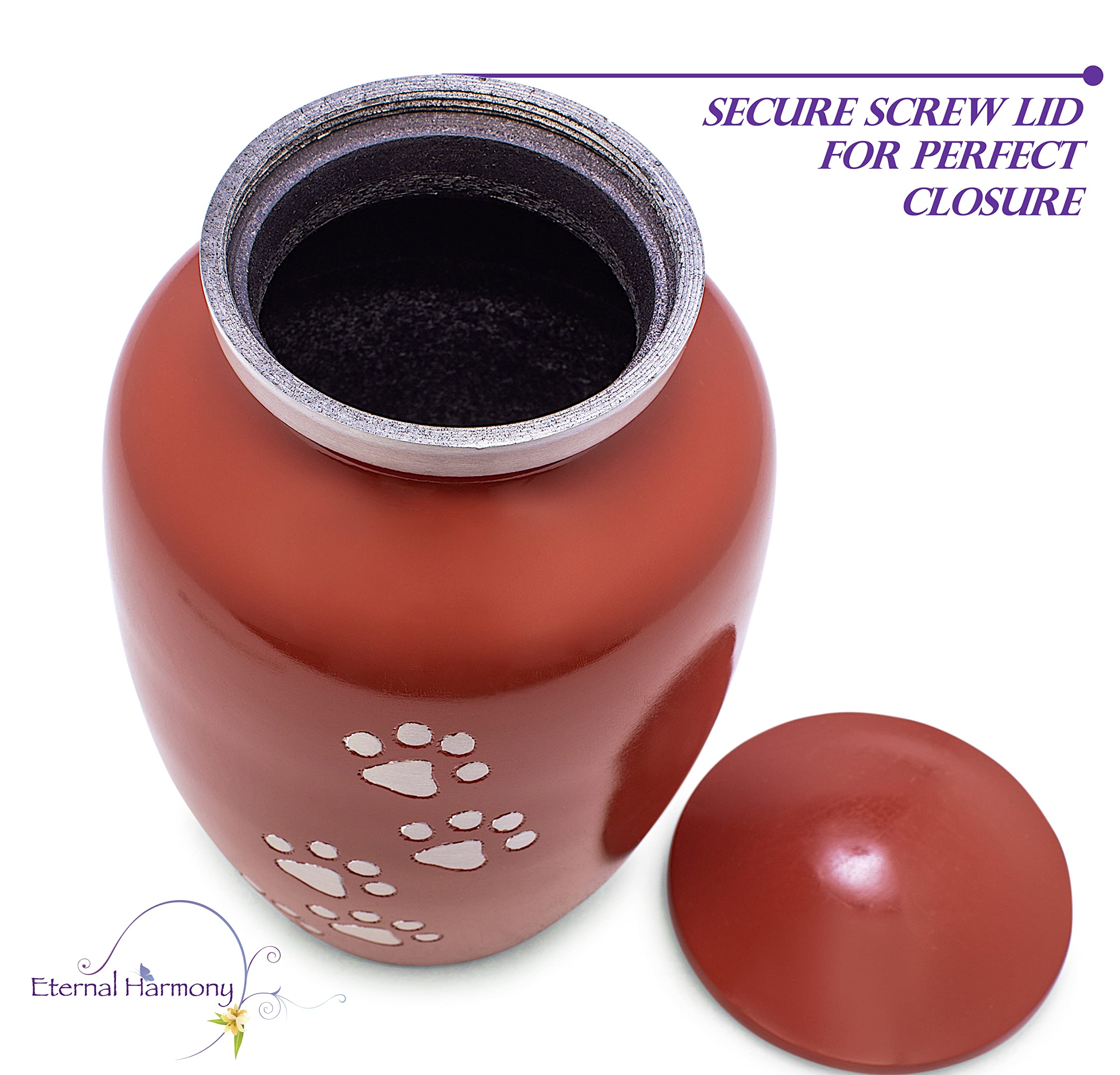 View 4