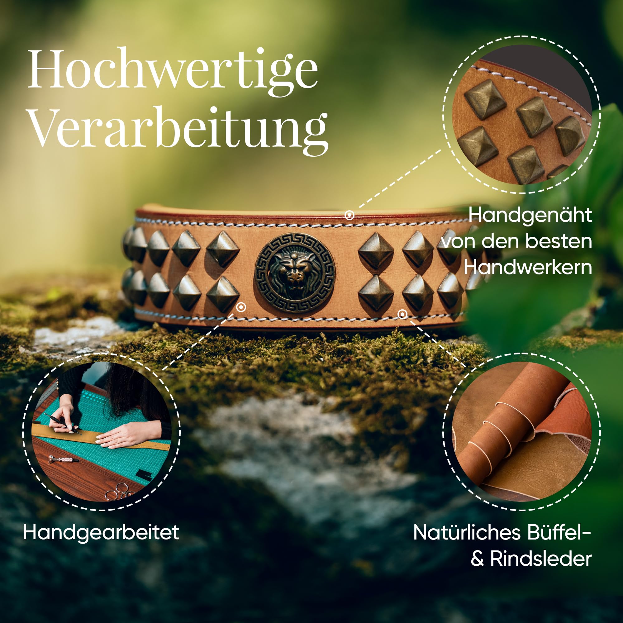 MICHUR Diego Hundehalsband Leder Beige | Lederhalsband, Löwenkopf Applikation, Flachnieten in Alt-Messing Optik, Braun Beige Gold, Verschiedene Größen erhältlich