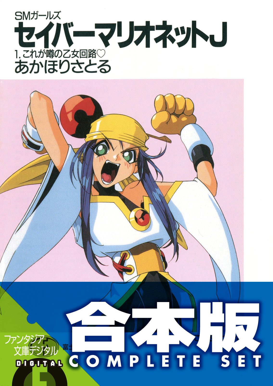 Amazon.co.jp: あかほり さとる: 本、バイオグラフィー、最新アップデート