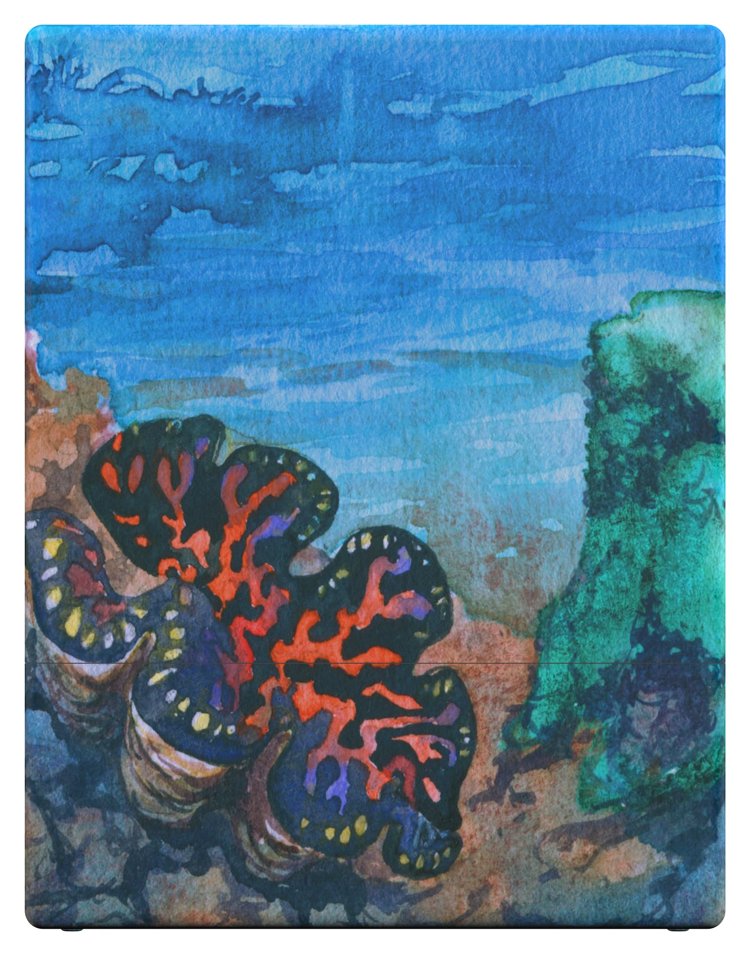 View 6