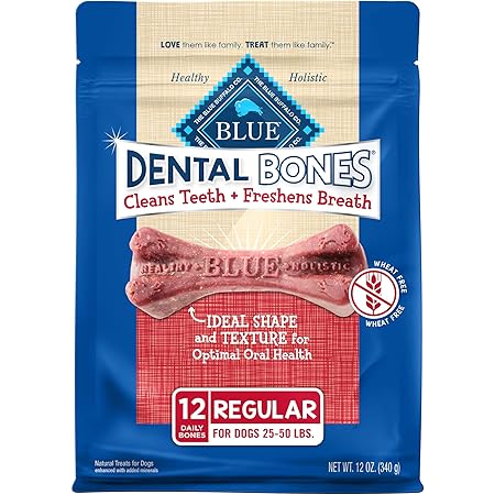 blue dental bones large
