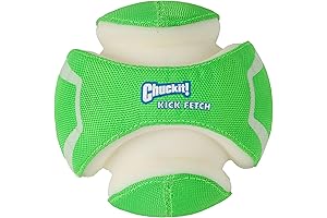 ChuckIt! Kick Fetch Dog Toy Ball: Illuminate the Nighttime Playtime