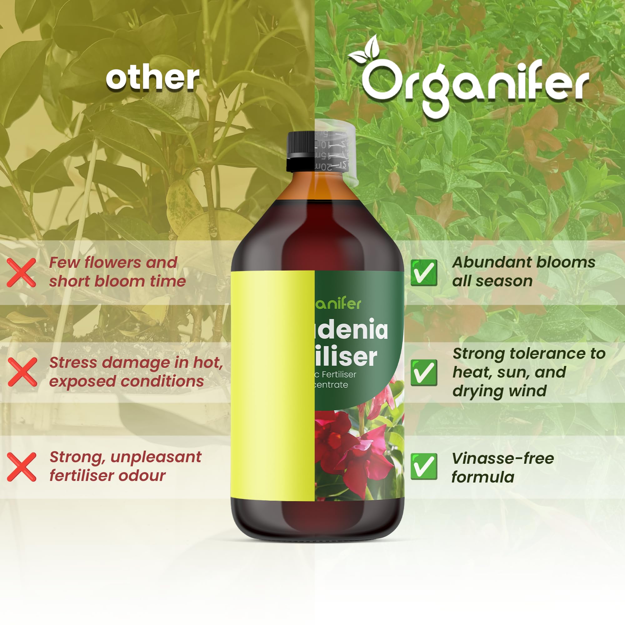 Concime liquido organico 1L per Dipladénia – fioritura splendida e crescita sana – Organifer