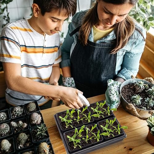 Miniatura 4 de ANPHSIN 10 bandejas de inicio de semillas para cultivo de plantas, bandejas gruesas de 10.6 x 10.6 pulgadas, bandejas de germinación de microgreens