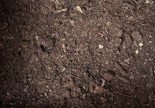 Miniatura 2 de Molde de hoja de roble natural de 2 galones para plantas amantes del ácido, cactus y suculentas, mezcla de suelo de árbol bonsái, aditivo orgánico