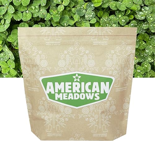 American Meadows Mezcla de semillas de césped de micro trébol alternativa de césped especialmente mezclada, bajo mantenimiento, gran cubierta de