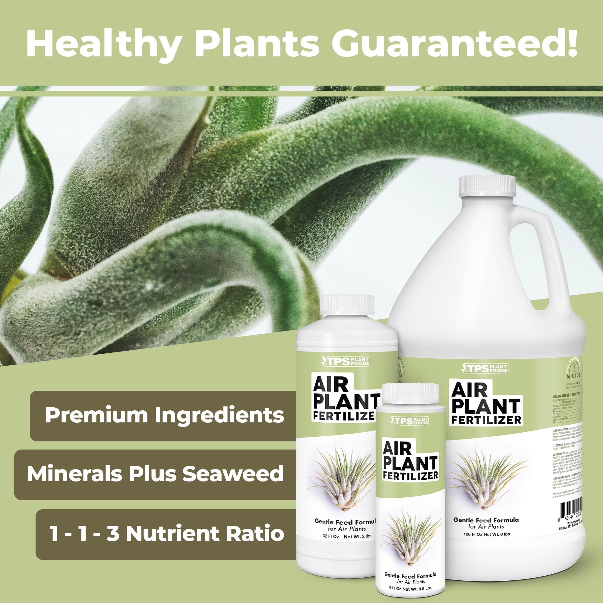 Amazon.com : Air Plant Fertilizer - Liquid Plant Food for All Tillandsia  Air Plants, Use As Foliar Spray or for Soaking, 8 oz : Patio, Lawn & Garden