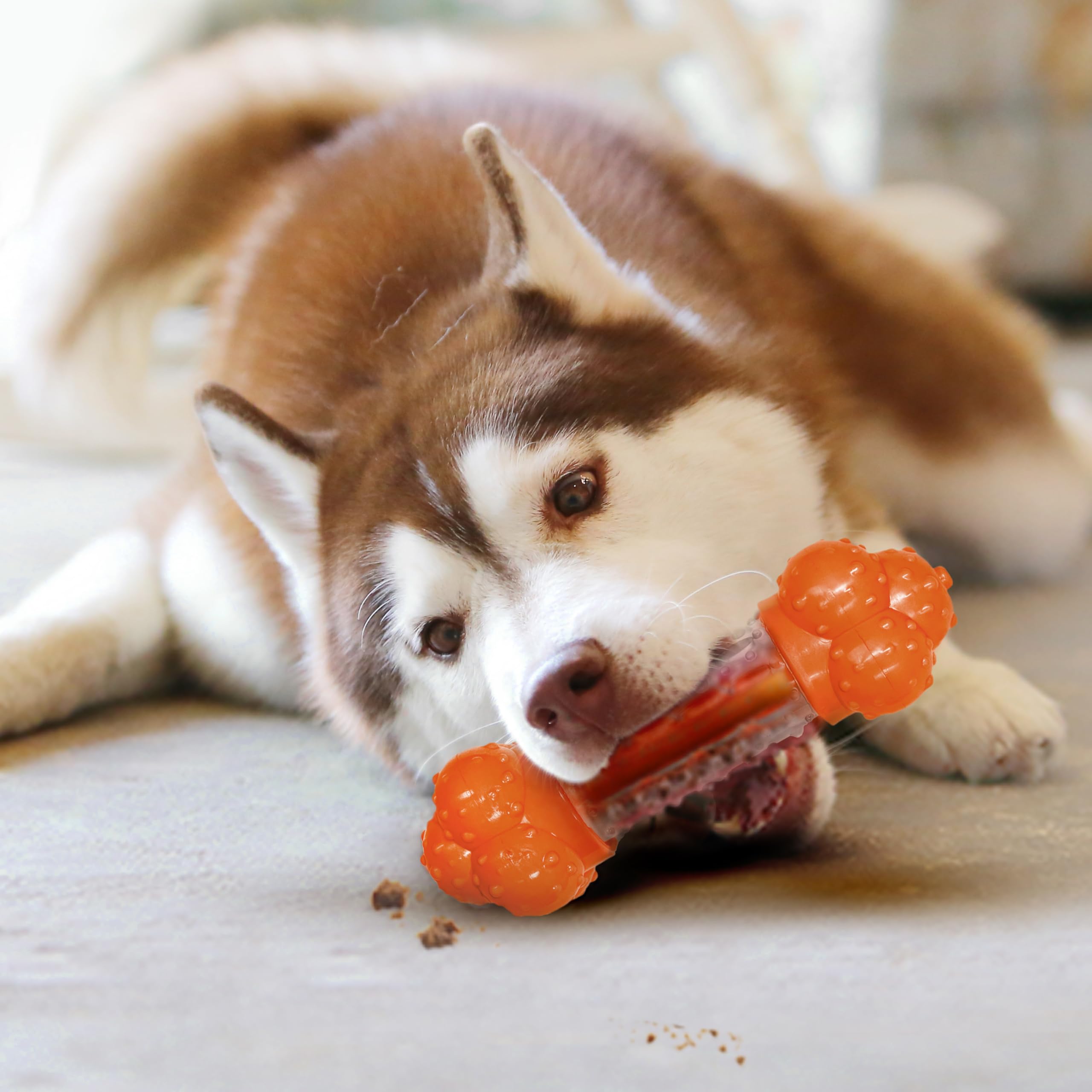 Nylabone Zabawka do żucia i leczenia dla psów – interaktywne zabawki do żucia i uzdatniania psów