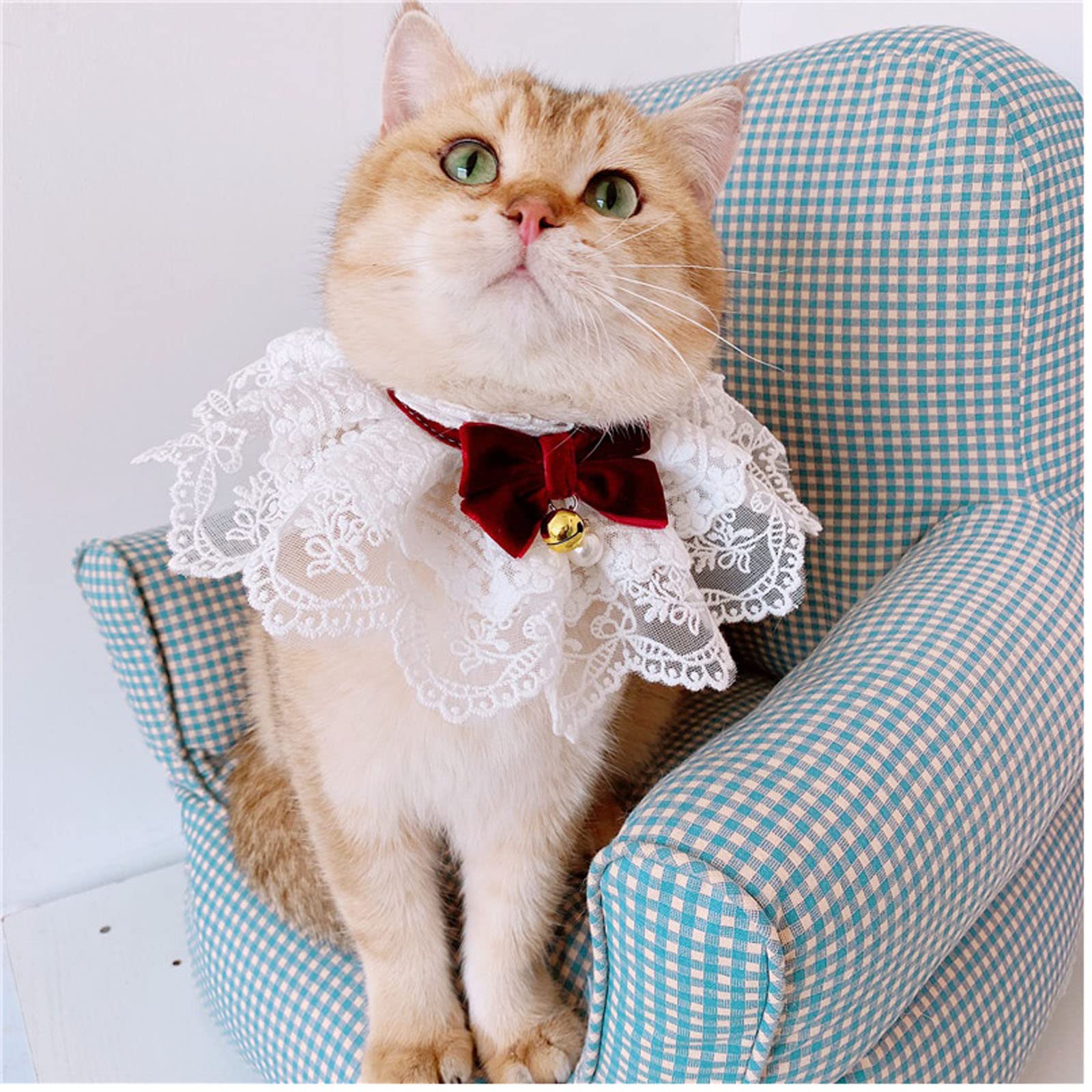 Amazon | TARATI ペットバンダナ 猫首輪 かわいい 和風結婚式リボン  