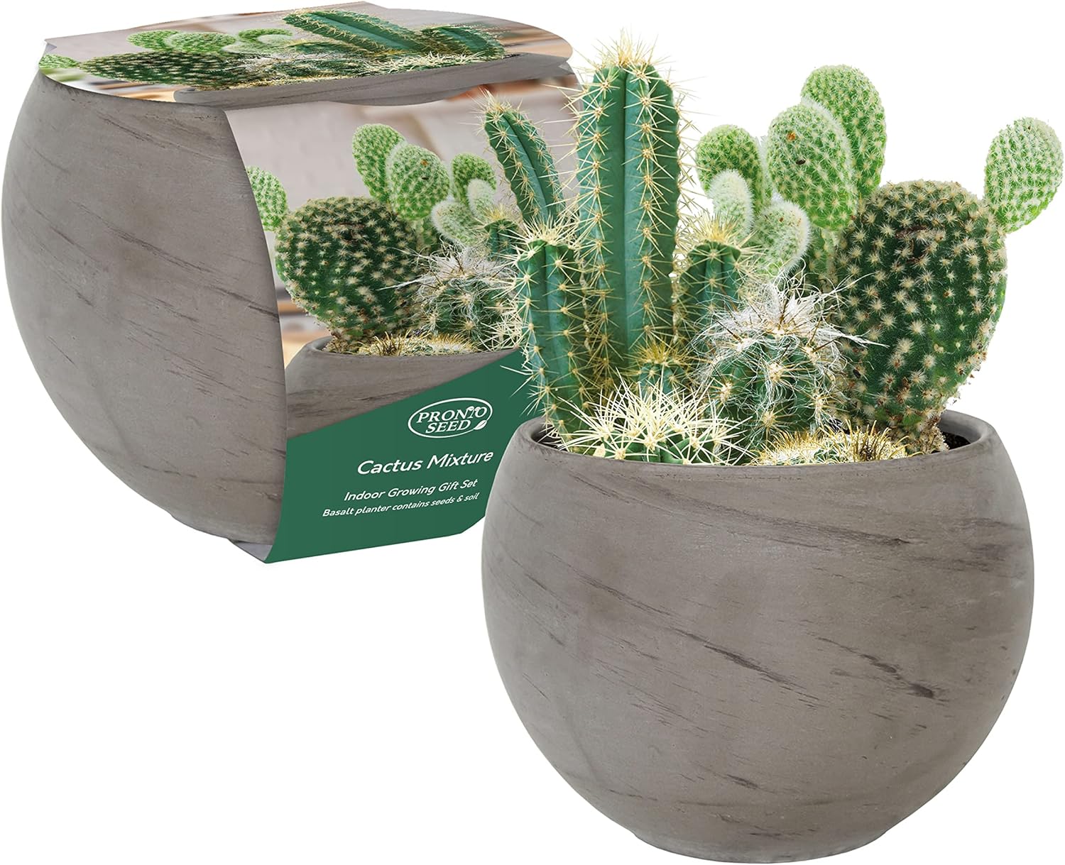 Pronto Seed Mixed Cactus Kit Contains 6 Varieties of Cactus Seeds with