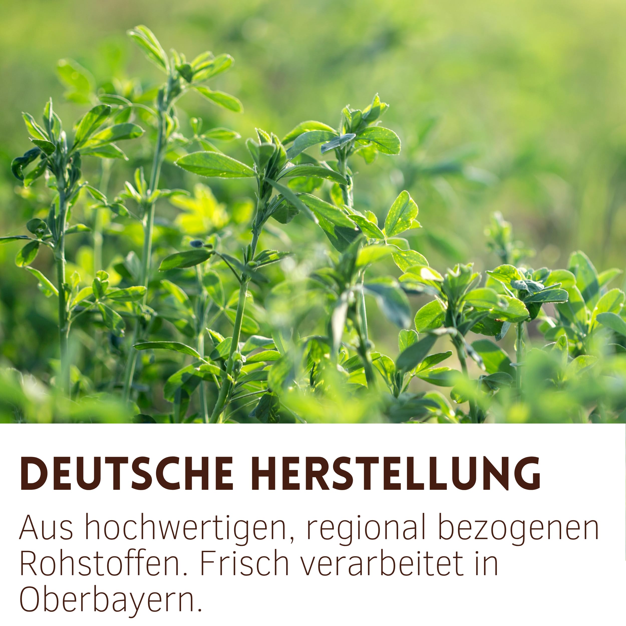Supravit Luzernecobs 20kg - energiereiches Pferdefutter I Luzernepellets mit hohem Anteil an Carotin I liefert wichtige Mineralien für alle Pferde