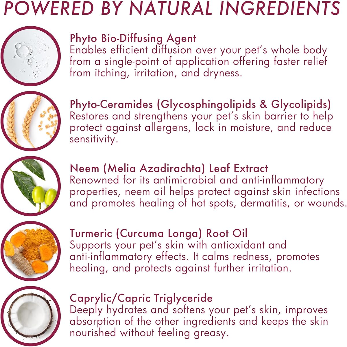 Natural Neem & Eucalyptus Spot-On view 4