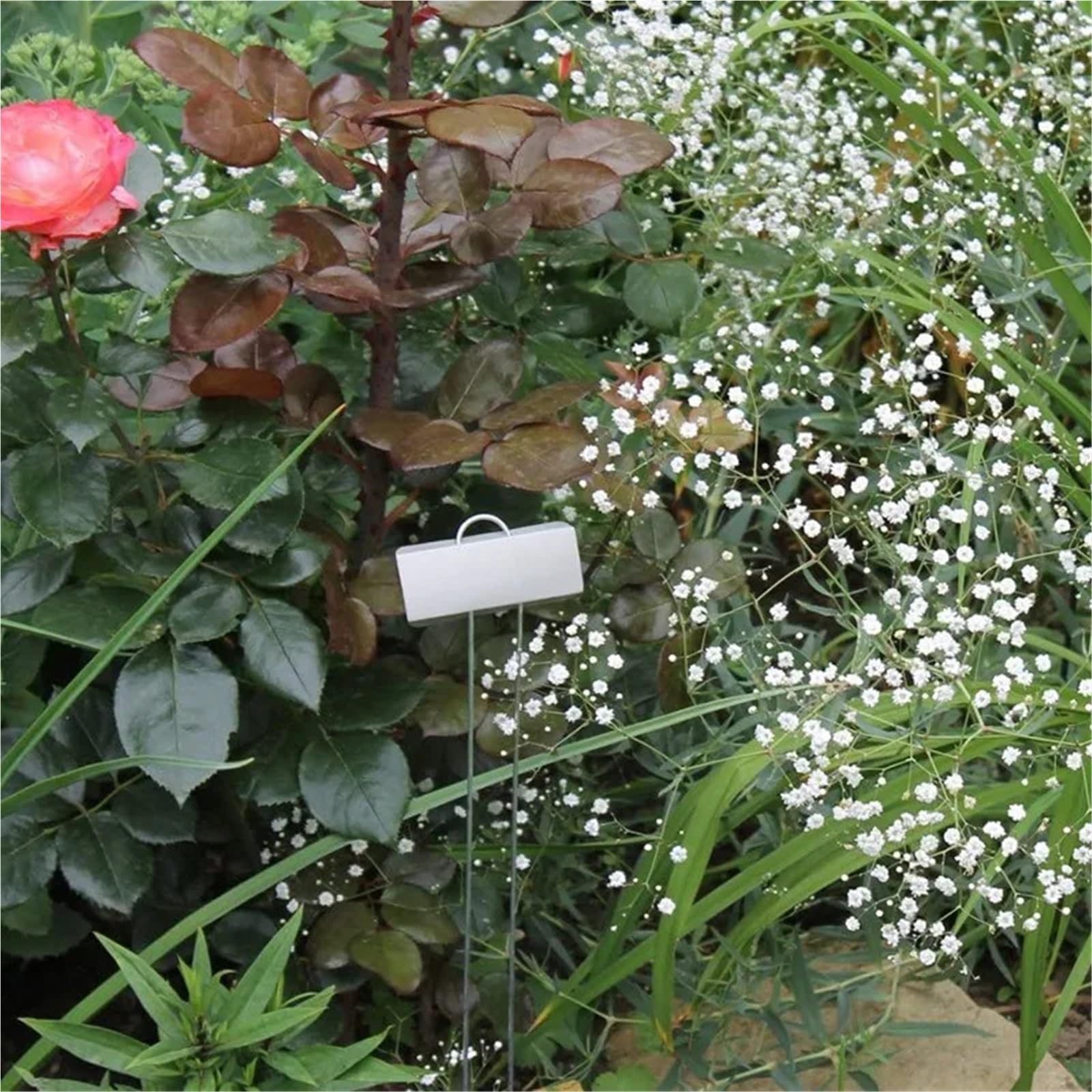 Pflanzenschilder 25 Packungen Metallpflanzenetiketten, Gartenblumen-Topfschilder, wasserdichte Schilder