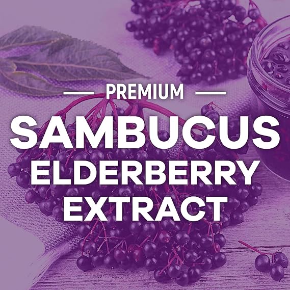 Elderberry Immune Support Gummies - 3X Strength Black Elderberry Gummy with Vitamin C, D3 and Zinc for Kids & Adults - Immune Health Support Supplement Gummy, Black Elder Berry Vitamins - 60 Gummies