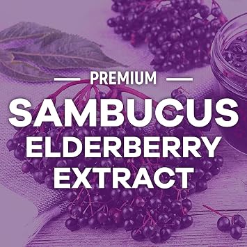 Elderberry Immune Support Gummies - 3X Strength Black Elderberry Gummy with Vitamin C, D3 and Zinc for Kids & Adults - Immune Health Support Supplement Gummy, Black Elder Berry Vitamins - 60 Gummies