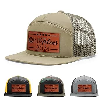 Amazon.com: Only Felons, Donald T 2024 Hat, 168 Style