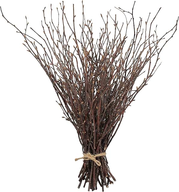 Uieke 50PCS Birch Twigs – 17 Inch Natural Dried Plants Decorative Birch ...