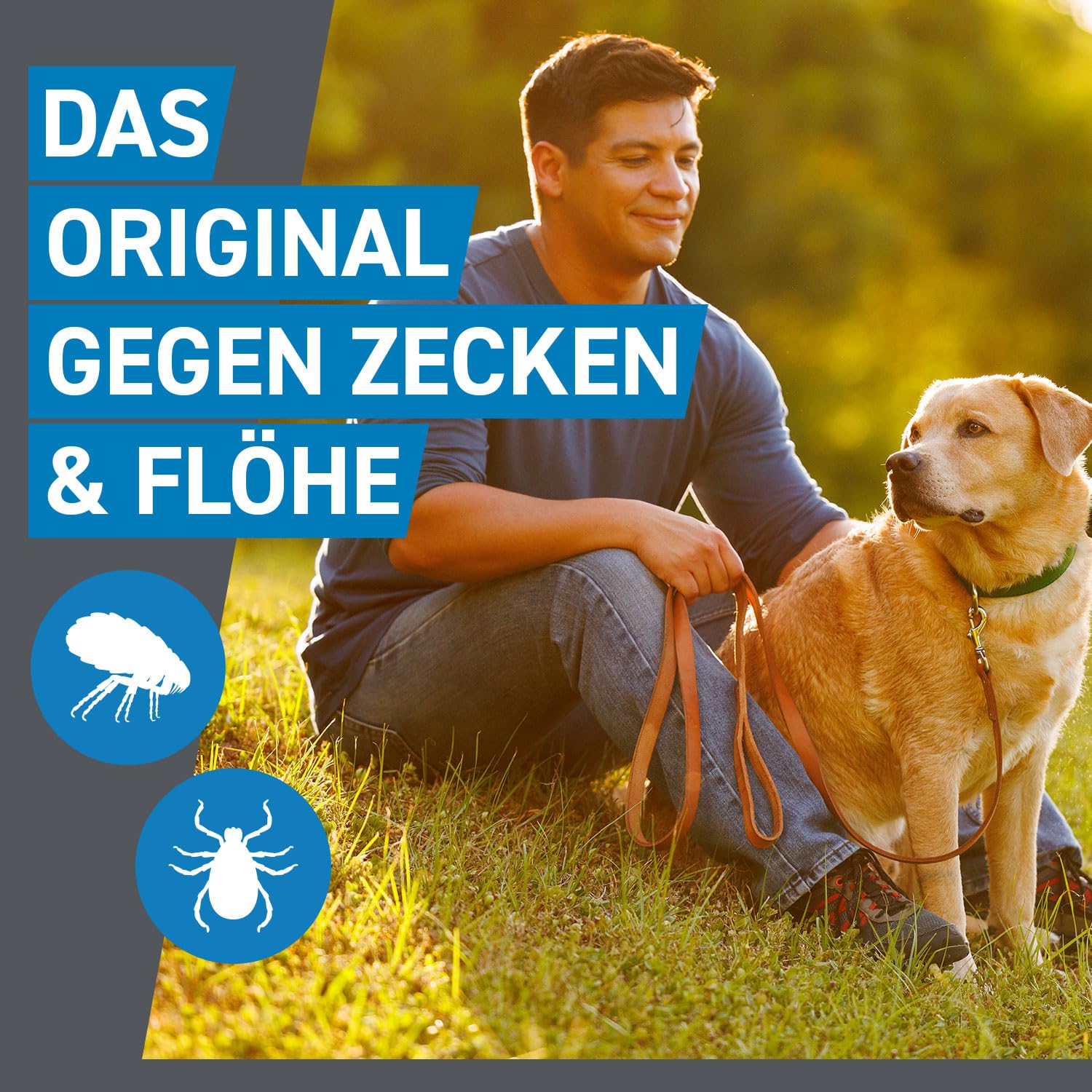 FRONTLINE Spot ON Hund L gegen Zecken, Flöhe & Haarlinge (20 bis 40 kg) | 6+3 Pipetten (2er Pack) für bis zu 9 Monate Schutz - einfache Anwendung, gute Verträglichkeit - wasserfest - für große Hunde