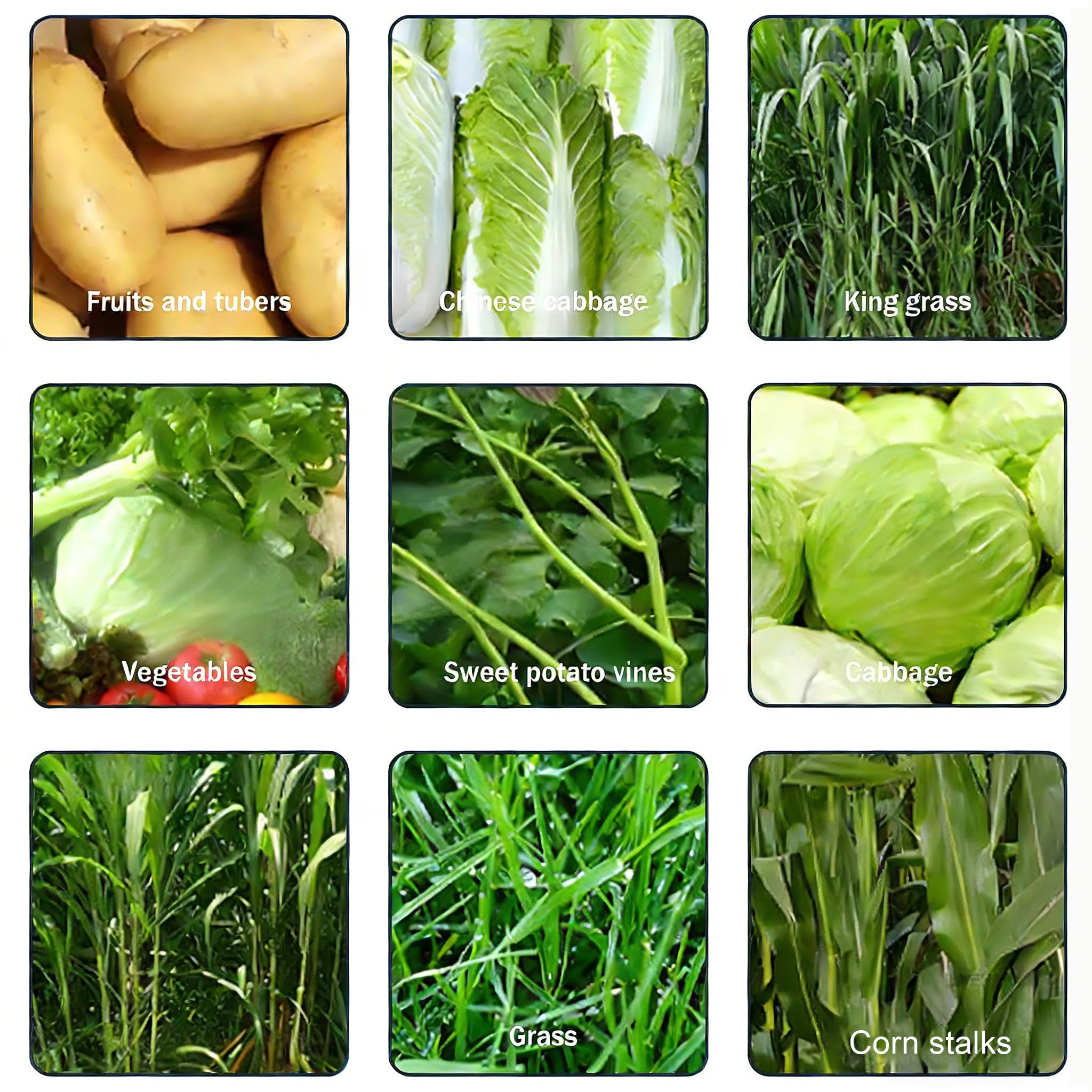 Procesadora de Alimentos Comercial, picadora de Verduras Comercial, Puerto de alimentación Grande, 60-200 kg/h, ralladora y trituradora de Verduras Profesional con 4 Cuchillas 1500W