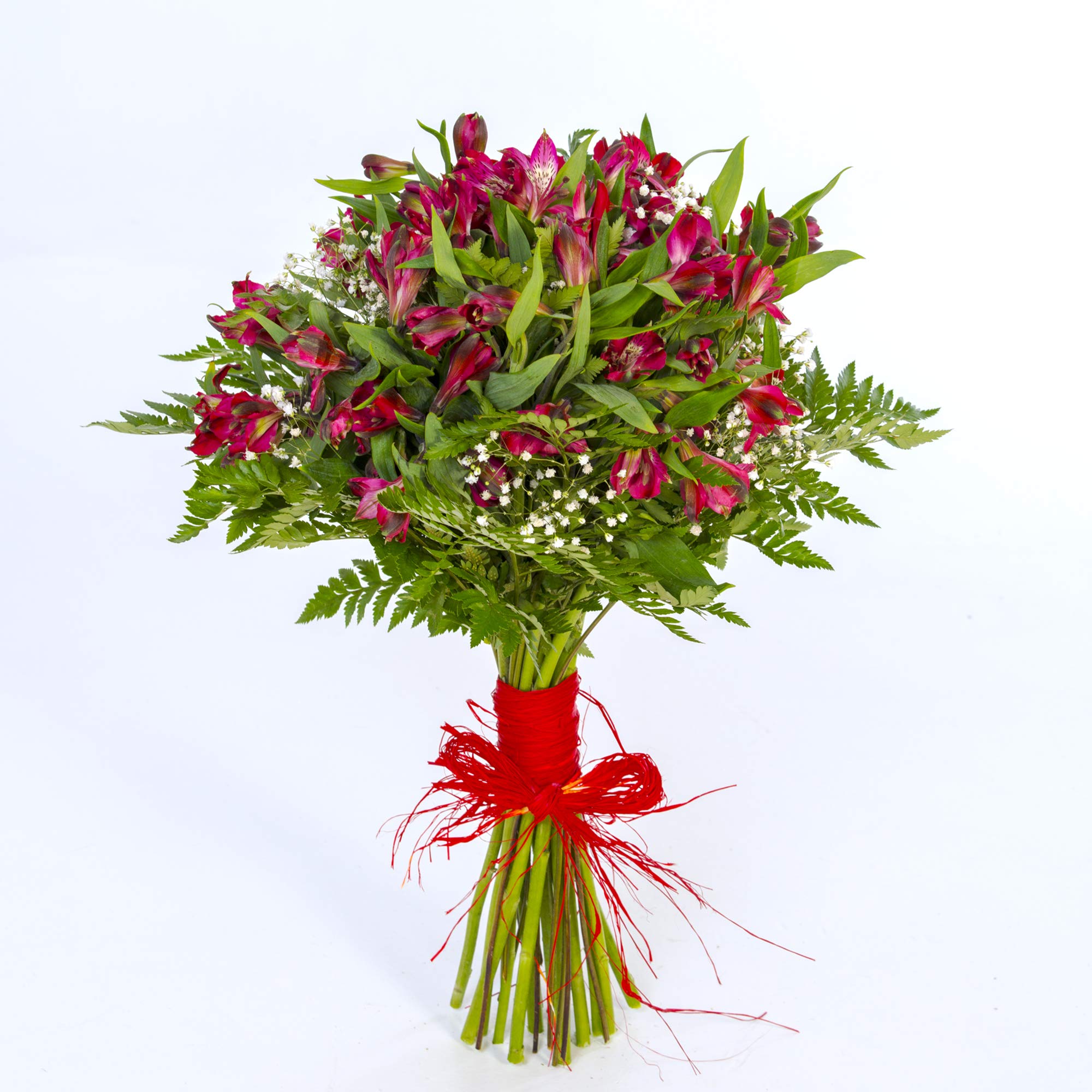 REGALAUNAFLOR | Ramo de flores naturales a domicilio | Entrega puntual en 24 horas de Lunes a Sábado | Con tarjeta de dedicatoria | Alstroemeria roja