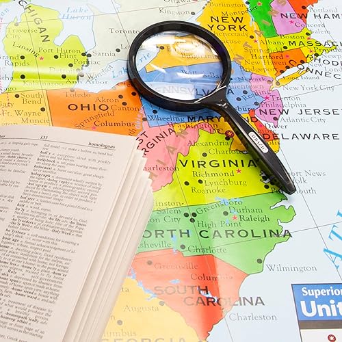 Miniatura 3 de BAZIC - Lupa redonda de 3 pulgadas, 2 x de mano y 4 inserciones bifocales