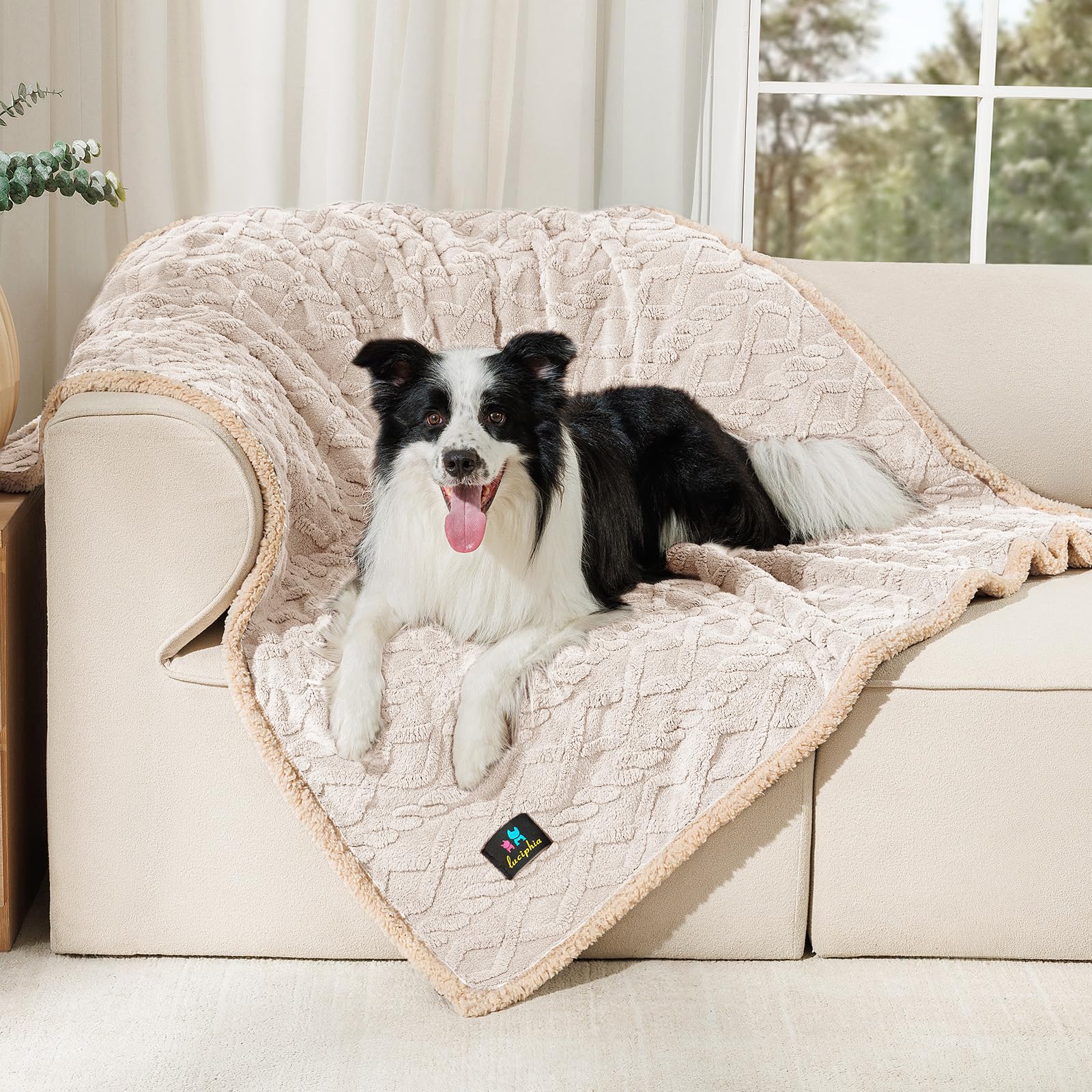Luciphia Waterproof Pet Blanket, Liquid Pee Proof Dog Blankets for Sofa Bed Couch, Reversible Sherpa Fleece Furniture Protector Cover for Small Medium