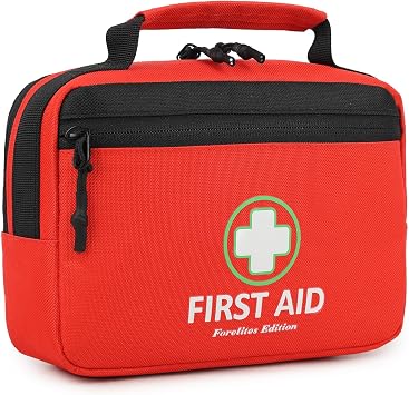 Handy Mini First Aid Kit Empty, First Aid Bag For Your Next Adventure, Emergency Kit For Home, Office, Vehicle, First Aid Supplies Organizer Bag For Travel Outing Basic Edition