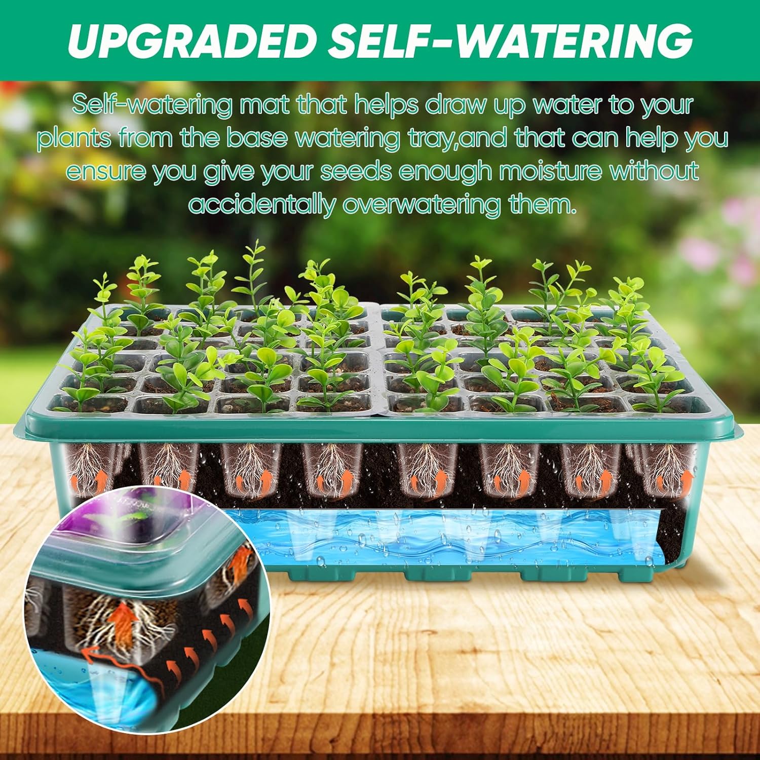 96 Cell Seed Starter Tray with Grow Light, Seed Starting Trays with Adjustable Humidity Dome, Seed Starter Kit Plant Starter Kit for Seeds Growing Starting, Indoor Gardening (Self-Watering)