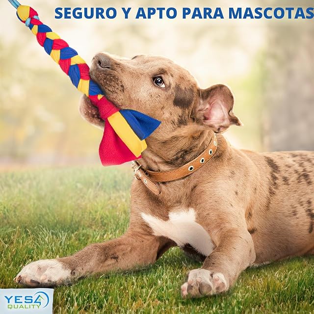 Foto 4 de 8 de Poste de coqueteo para Perros con Cuerda de Nailon Fuerte y Segura