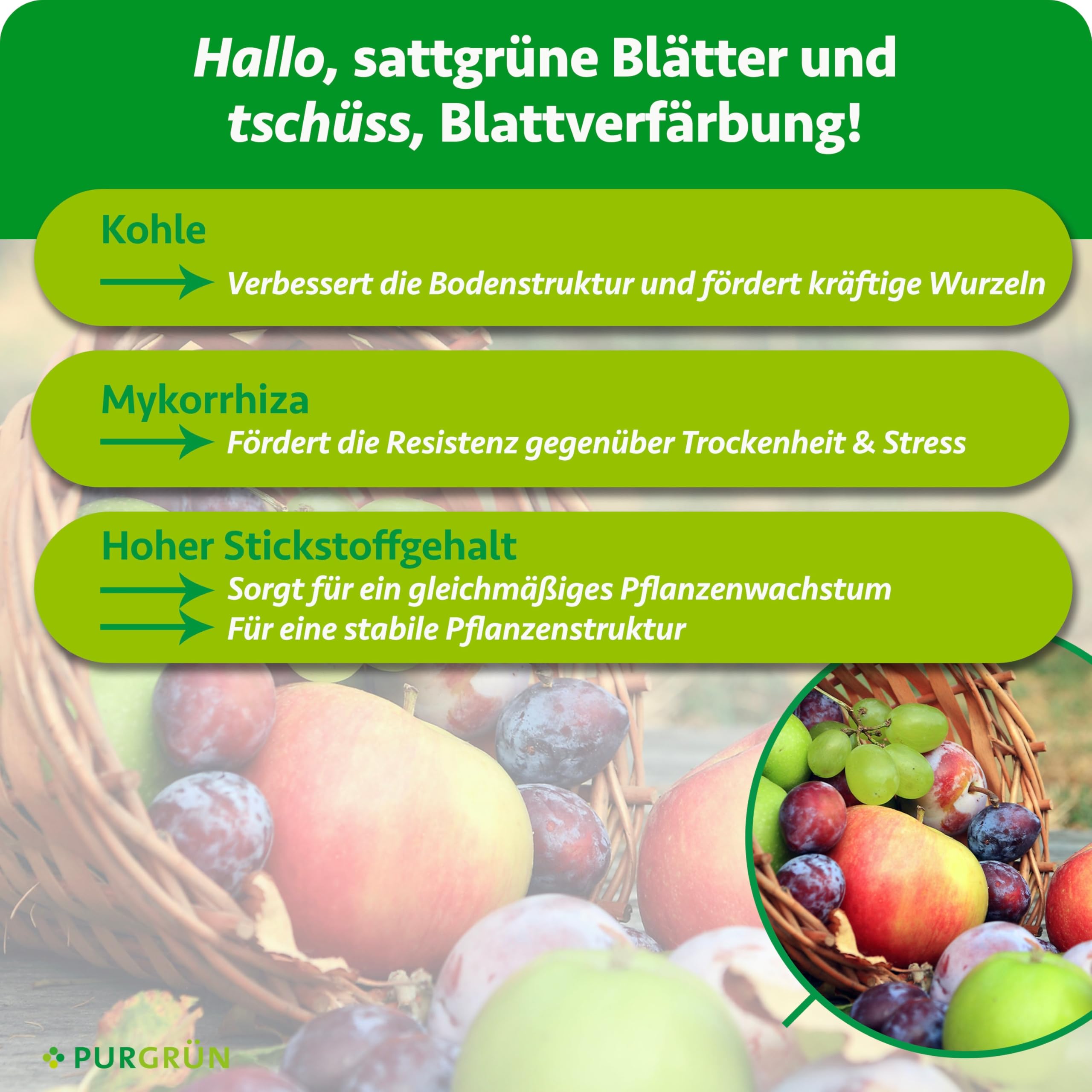 Bio-Obstdünger 1 kg – Organisch-mineralische Rezeptur – Feinkörniges Krümelgranulat – NPK 6+4+5 – Mit Magnesium für süßes Früchte – Verbessert die Bodenqualität mit Mykorrhiza & Kohle