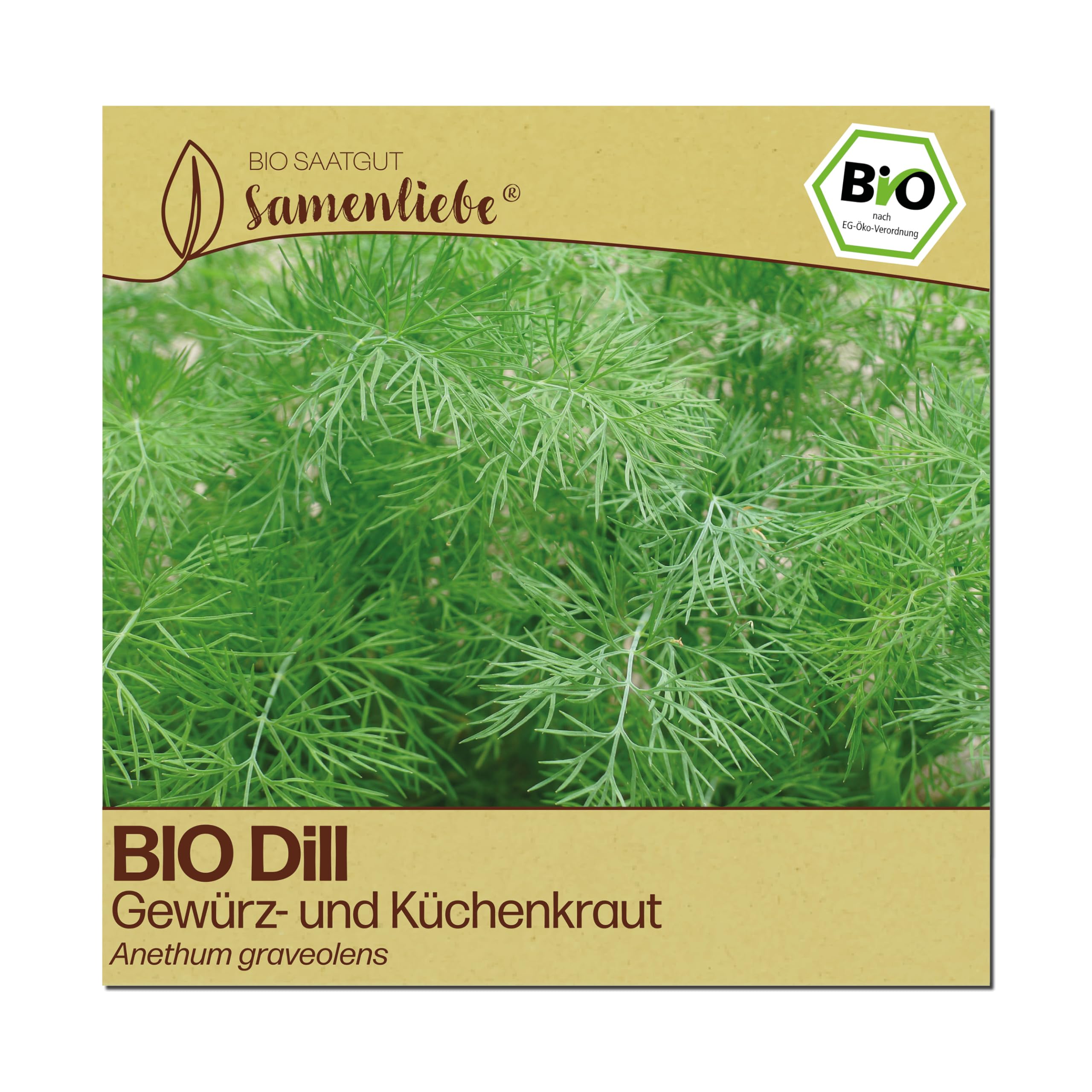 Samenliebe BIO Dill Samen | Küchenkraut & Gurkenkraut - samenfestes BIO Saatgut