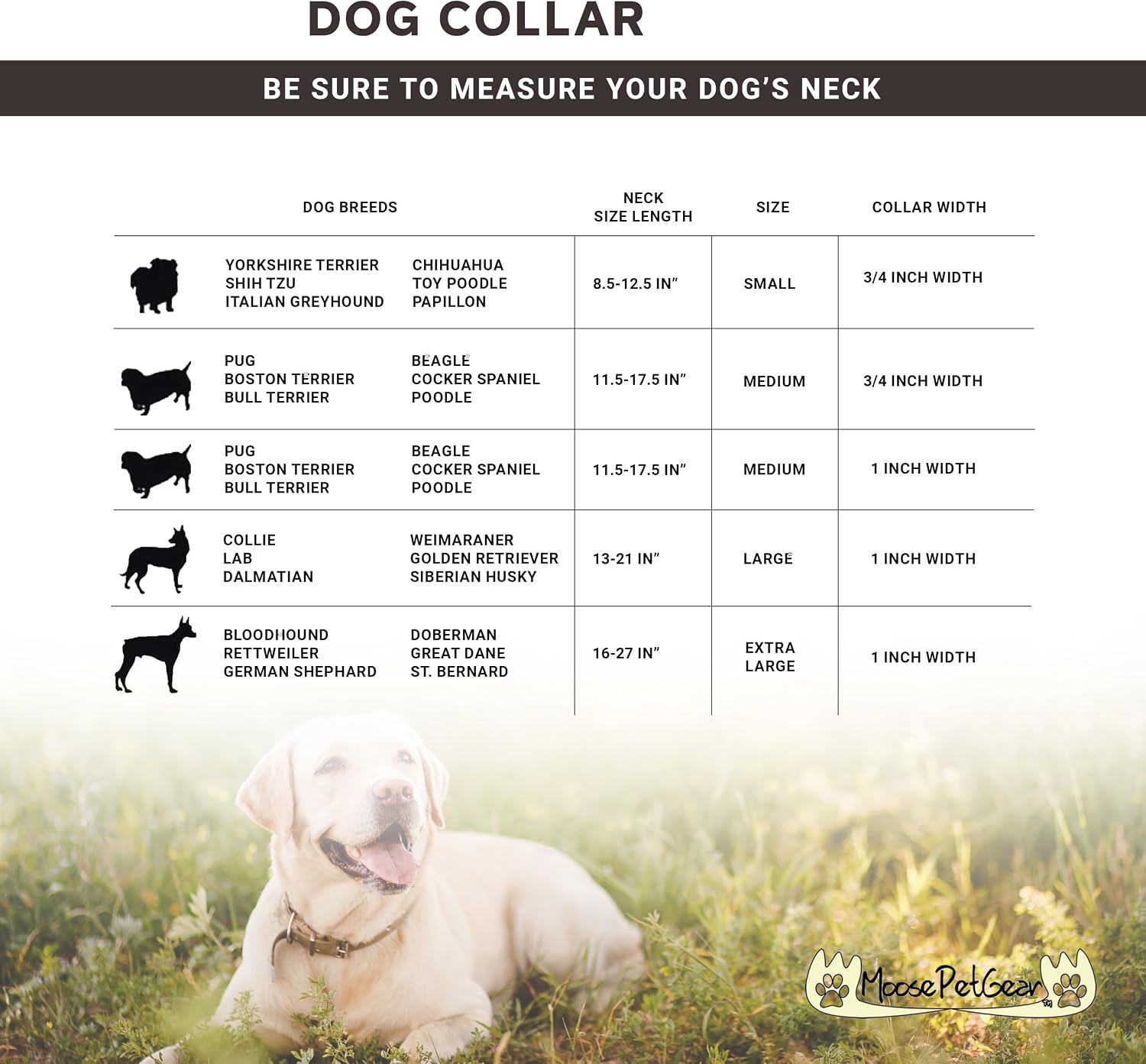 Dog Collar - Colored Adjustable Pet Collars – 3/4 Inch Wide, Small, Forest Green