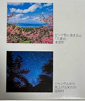 JAL/JTA 2024年 美ら島物語カレンダー 壁掛けタイプ 沖縄　３個セット Amazon | JTA「美ら島物語」 2024年 カレンダー 壁掛け CL24