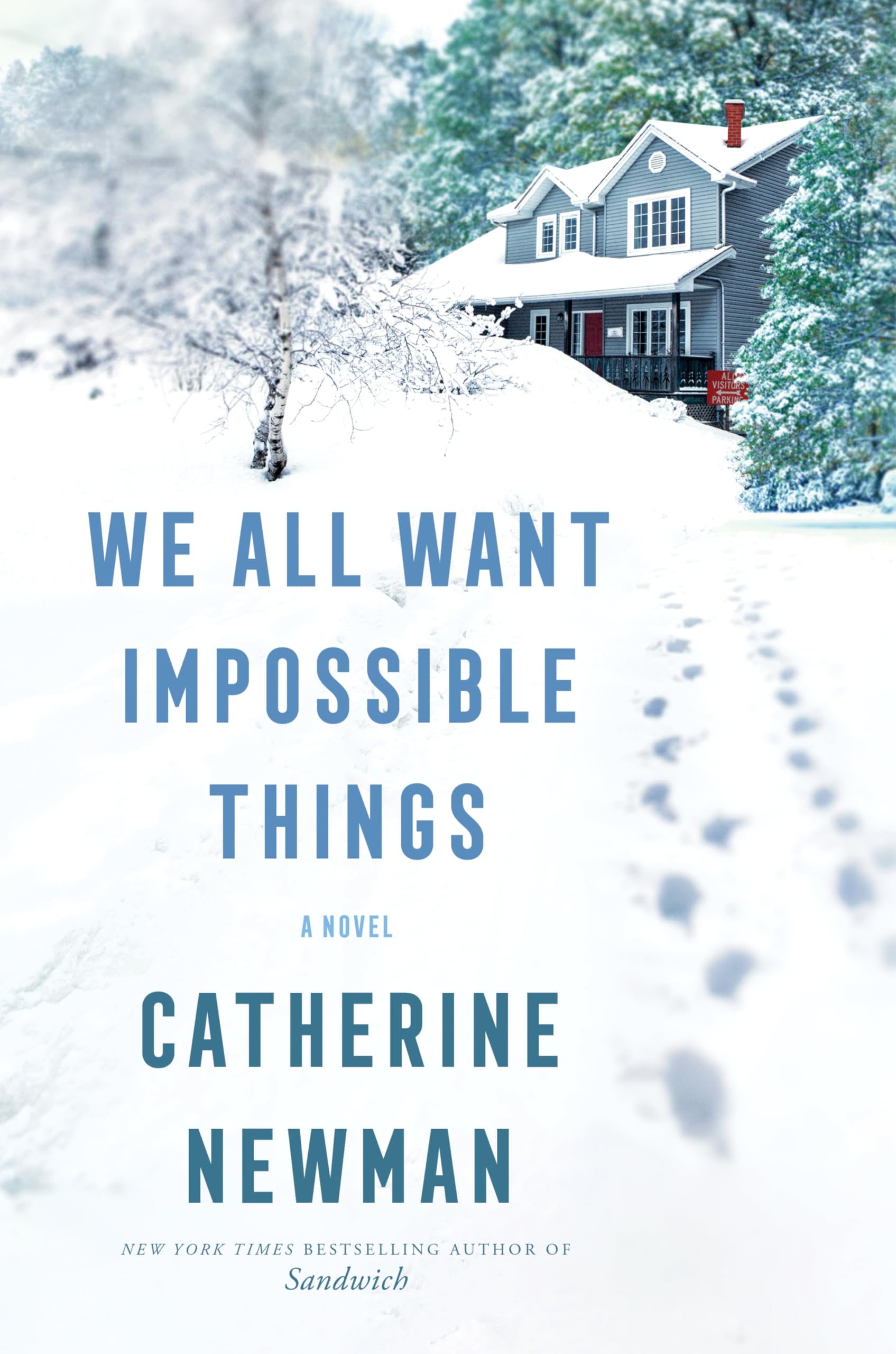 We All Want Impossible Things: A Novel