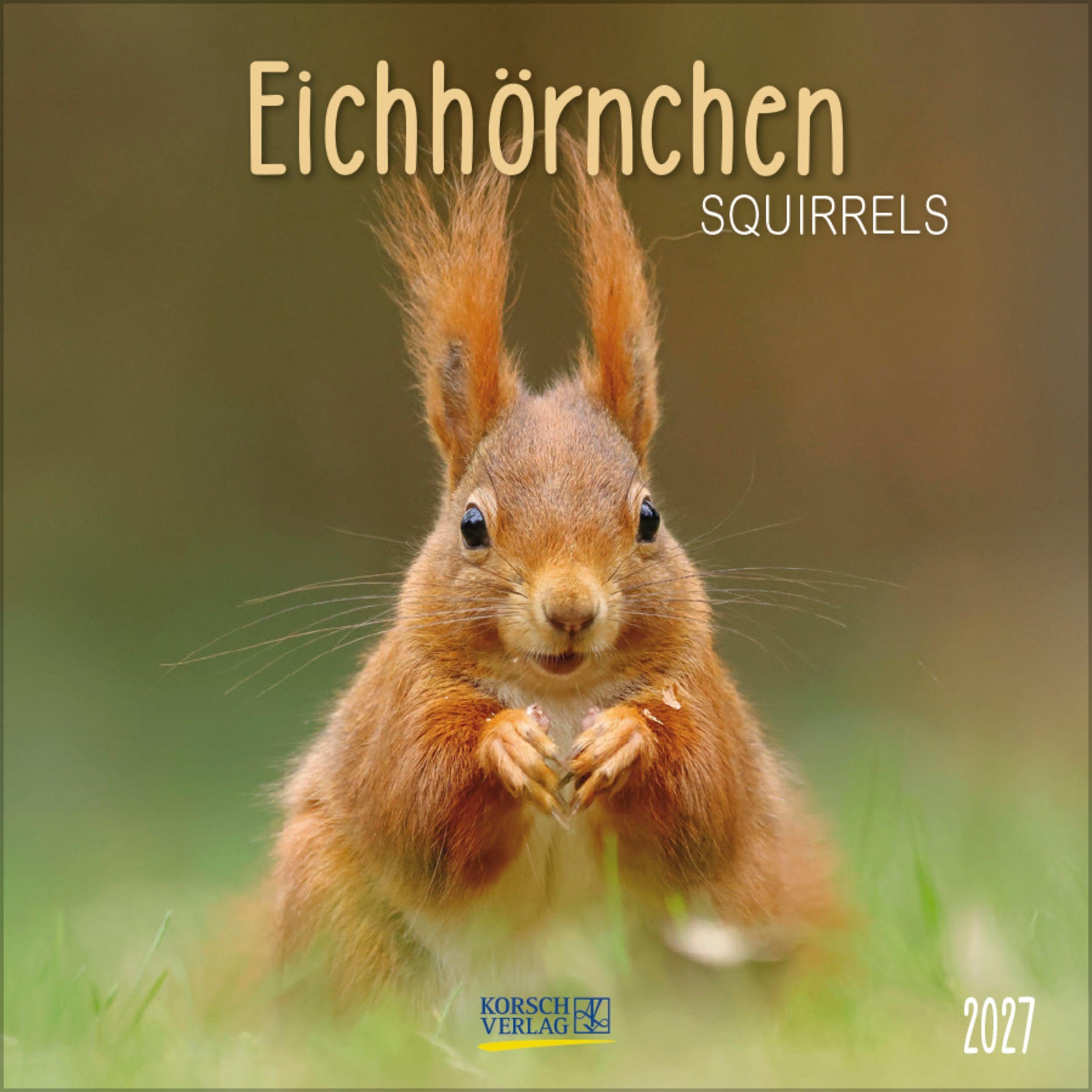 Eichhörnchen 2027: Broschürenkalender mit Ferienterminen. Format: 30 x 30 cm