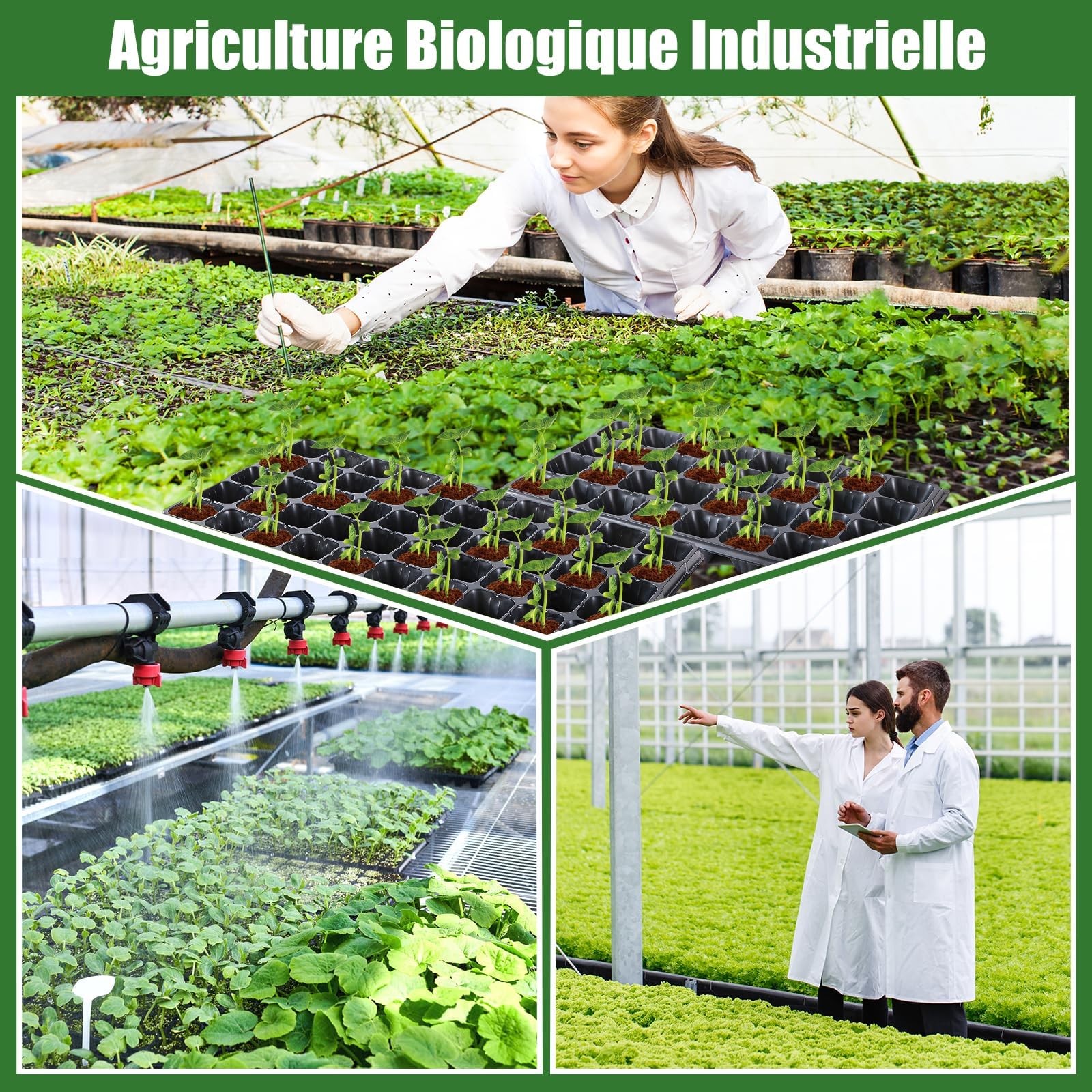 12 Pièces Plateaux Semis Plateau Plantation Germination Multi Cellules Réutilisable Drainage Optimisé Fabriqué en PP Adapté Culture Maison Serre Intér, 32 cellules