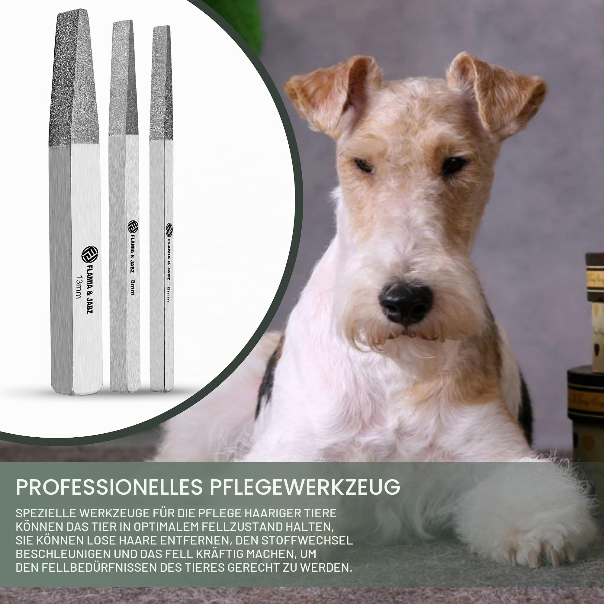 FLAMIA & JABZ Metallsteine und Nagelfeile für Hunde, Katzen und Haustiere, 3 Stück